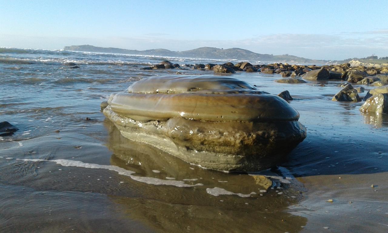 Moeraki Boulders Motel Hampden Exterior foto